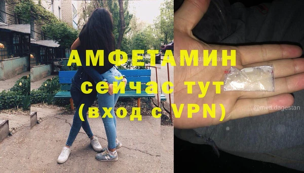 индика Абинск