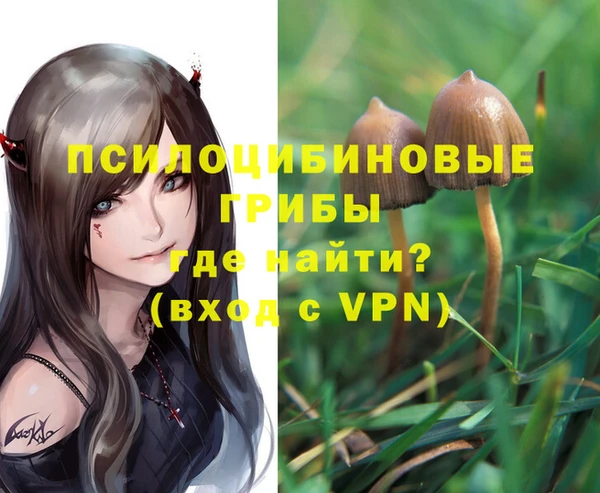 соль ск Новодвинск