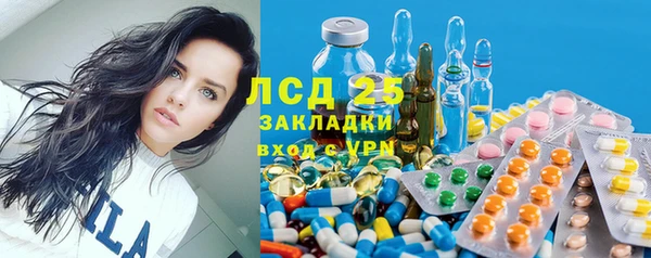 индика Абинск