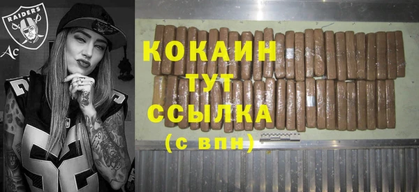 соль ск Новодвинск