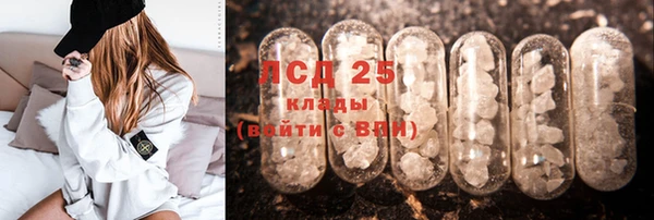 индика Абинск