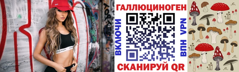 блэк спрут ТОР  Мещовск  Псилоцибиновые грибы GOLDEN TEACHER 